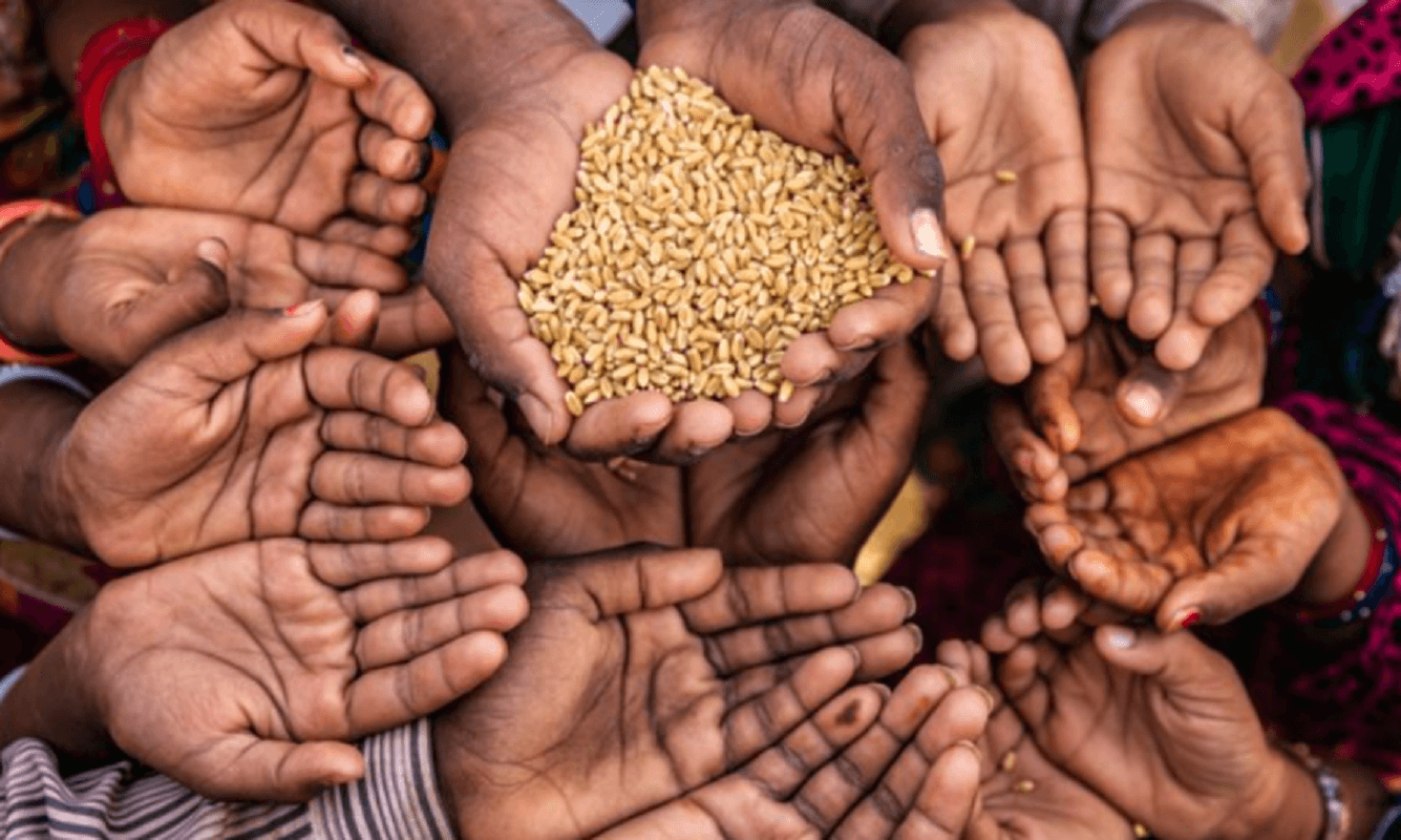 World Food Programme :  Global Report on Food Crises (GRFC) 2024