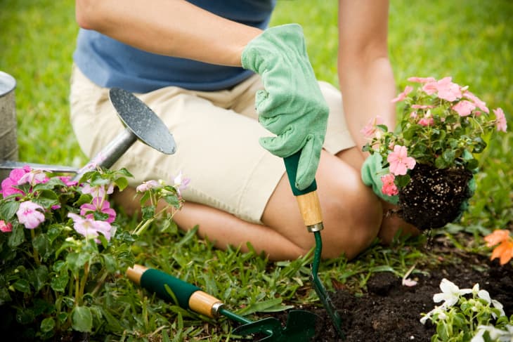 Cooling Cities: Strategic Tree Planting Can Combat Urban Heat